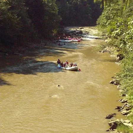 Apartment Friendly House