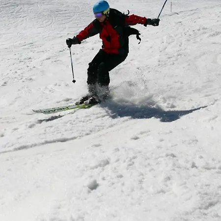 Friendly House Lejlighed *